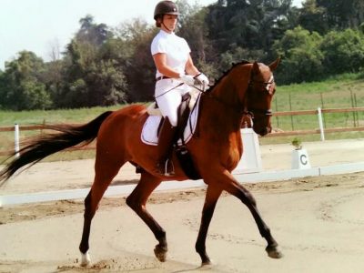 Trofeo Novi atto secondo tutto è pronto.