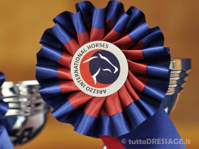 Arezzo salta il 3 stelle rimangono le categorie giovanili.