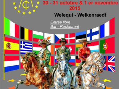 MCI Europe a Welkenraedt
