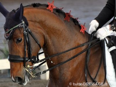 Natale posticipato a Sommacampagna.