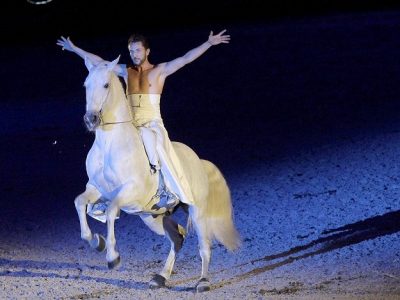 FIERACAVALLI 2015: OLTRE 160MILA VISITATORI, IN AUMENTO QUELLI ESTERI