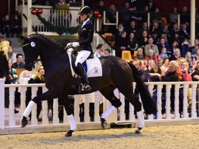 Investimenti milionari per la 36esima asta P.S.I.