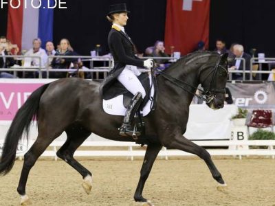 Roosendaal e Salisburgo animano il primo week-end di Dicembre