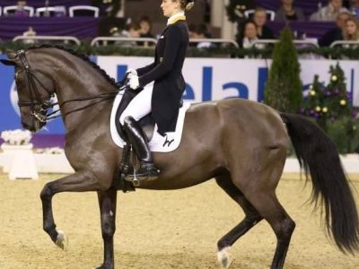 CDI4* Francoforte: il Big Tour offre spettacolo ed emozioni