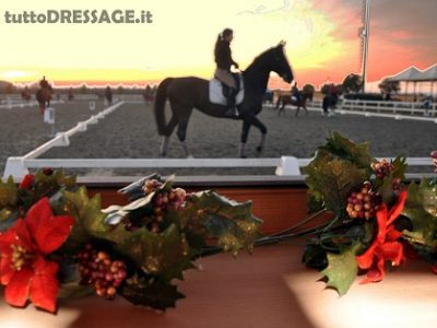 Concorso di Natale a Sommacampagna