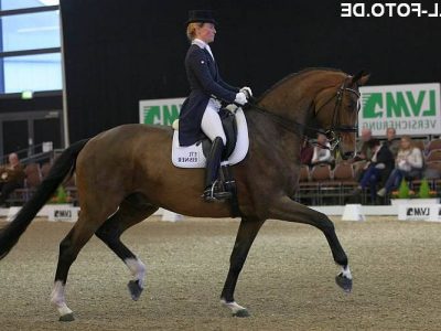 Week-end Internazionale, tra la K + K Cup Münster e il CDI3* Drachten