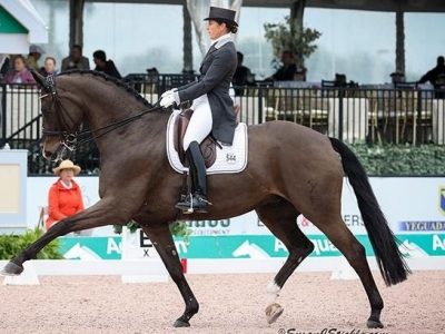 Week-end: a Wellington il palco del Dressage Internazionale