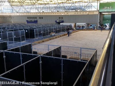 Sangiorgi e Raffaldo OK al vet check di Amsterdam