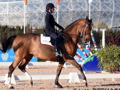 CDI3* Nizza: Buona prova per Ester Soldi. Ripresa a Daniel Pinto.