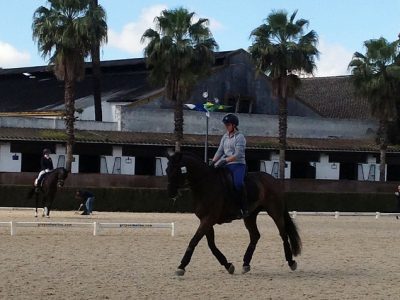 “VUELVE  A JEREZ  ANNO II “