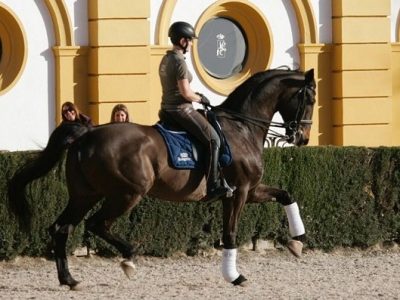 Nausicaa Maroni e Roberto Callegari al CDI di Jerez de la Frontera