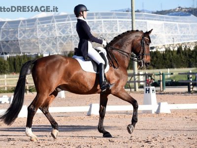 CDI-YR Nizza: Annachiara Menin ancora sul podio. Jamina Gysels vincitrice su Zico.