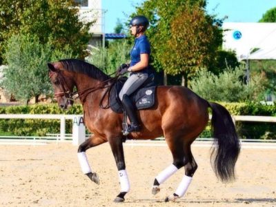 Spagna come Florida e ci sono anche gli azzurri