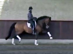 Sue in Danimarca da Helgstrand