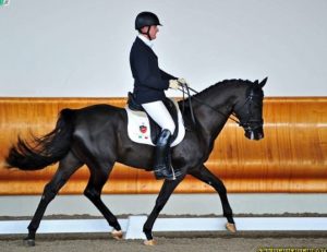 Totally More in rettangolo con James Connor alle Scuderie della Malaspina (photo © Gianluca Sasso / SASSOFOTOGRAFIE.IT).