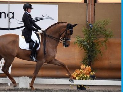 CDIJ Sommacampagna: Remold si veste d’oro per la finale Freestyle
