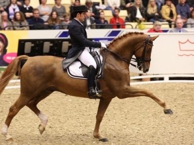 Weekend: Australia, Brasile, Danimarca e Stati Uniti