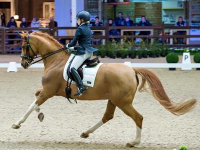 CDIJ Lier: Alice Campanella oltre 70% nel Freestyle della Westendarp