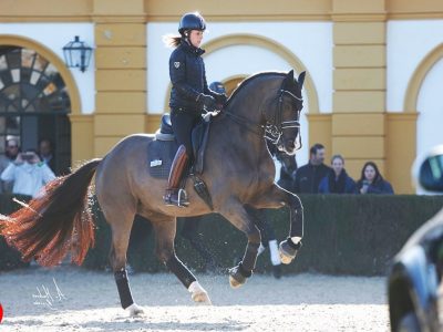 Vuelve a Jerez: una prima settimana bagnata