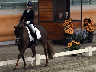 CDI Ch Sommacampagna: bis della Volpini