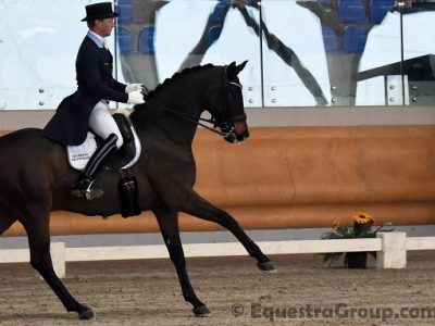 CDI 3* Sommacampagna: GP Kur ad Hendeliowitz
