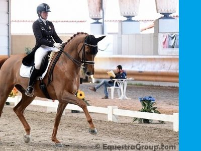 CDI-P-J-YR Stadl Paura: Remold oltre il 70% freestyle-spettacolo in Austria