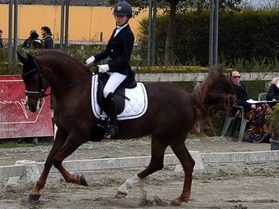 CDI Sommacampagna : Bravi gli azzurrini children, U25 Barbieri la migliore