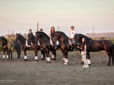 Aironi Dressage:dedicato ai Cavalli Frisoni uno stage esclusivo