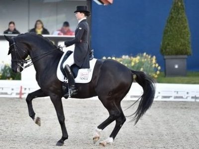 Weekend: CDI4* Hagen: Bröring-Sprehe e Kittel infiammano Hagen
