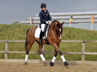 Olivia Moriano bene a Frensham