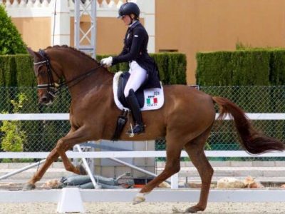 CDI3* Oliva Nova: Finale agrodolce per gli Azzurri