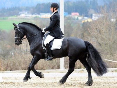 Italia no! Italiani si!