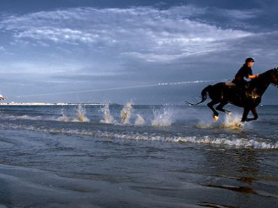 Horse surfing anche ad Oliva Nova?