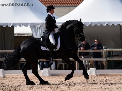 CDI 3* Máriakálnok: grande Claudia Montanari con Titus sul Podio!