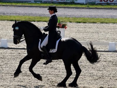 CDI-YH-CH-P-3* Lipica:  Gli azzurri ci sono!