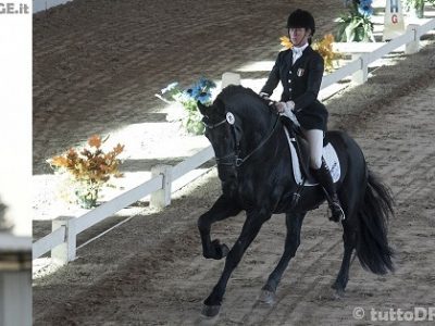 “Gli Aironi” di Claudia Montanari, tra Montefalco e Lipiza