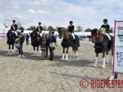 Weekend: Danimarca, Russia e Brasile