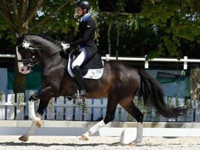 CDI P/J/Y Máriakálnok:  bene Francesco Neri tra gli Young Riders