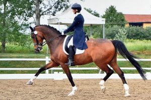 Helen Crawshaw e Samba D (photo courtesy Helen Crawshaw).