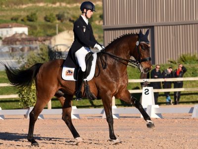 CDI3* Máriakálnok: Grand Prix Special una sofferenza per Leonardo