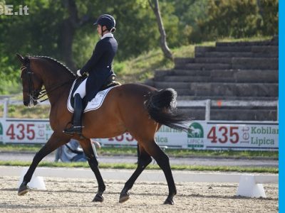 CDI-W Lipica: Micol Rustignoli grande nella kur di Coppa del Mondo