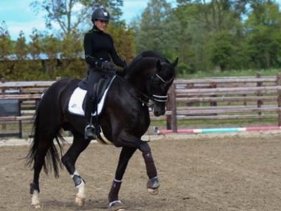 Roosendaal: Paoli e Prijs non ci saranno