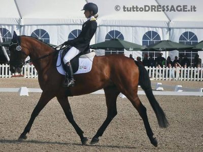 Royal Delight in holding box