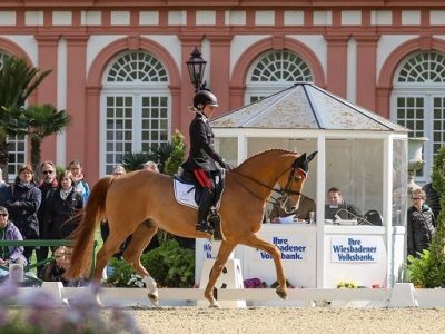 CDI5* Wiesbaden: Valentina Truppa bene nel GP for Freestyle