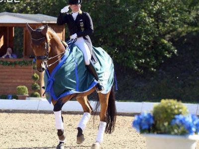 Weekend: eventi di Germania, Stati Uniti e Spagna