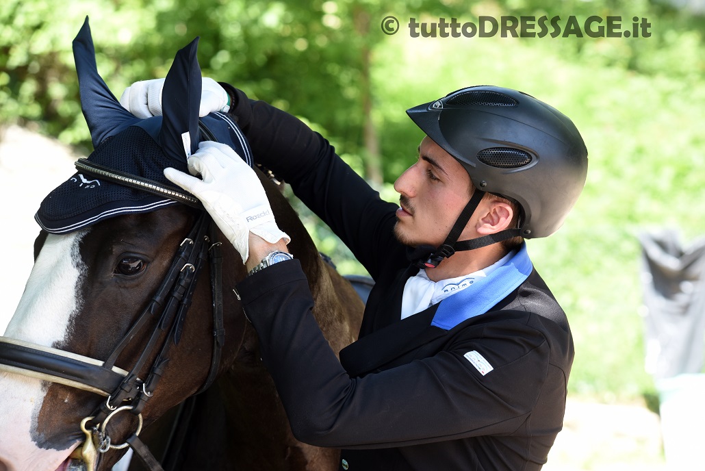 Francesco Neri sistema la cuffietta a Raffaldo, l' azzurro da soli tre mesi fa coppia con il cavallo (photo © tuttoDRESSAGE).