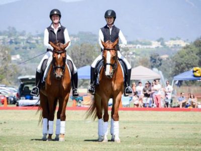 Nasce  ‘Syncro’ in ASI Sport Equestri