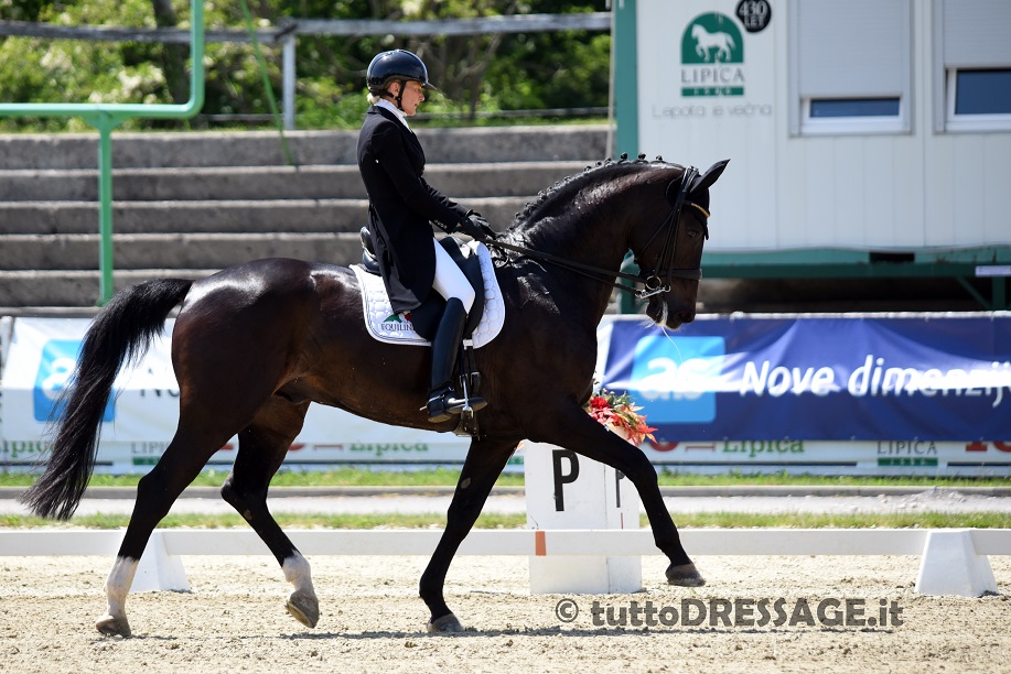Cristina Pilella con Dior protagonista nel CDI 3* sloveno. L' amazzone della Scuderie di Montemerlo sarà nuovamente in rettangolo a Lipiza dove porterà anche Hofnarr. (photo © tuttoDRESSAGE).