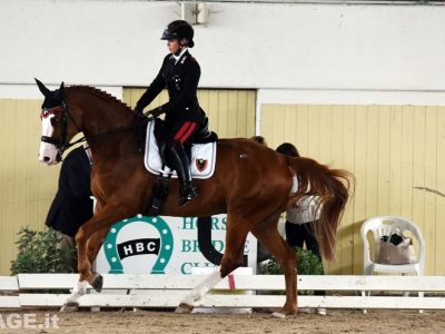 CDN B Horse Bridge Club di None