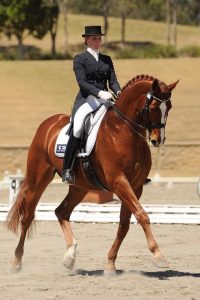 Victoria Welch and Brentanus (photo courtesy: BEECHWOOD DRESSAGE HORSES)